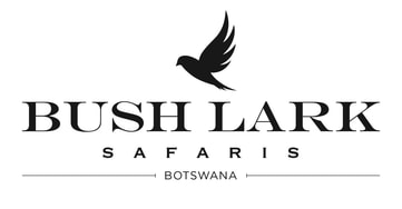 Bush Lark Safaris